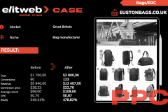 PPC for the Euston Bags website